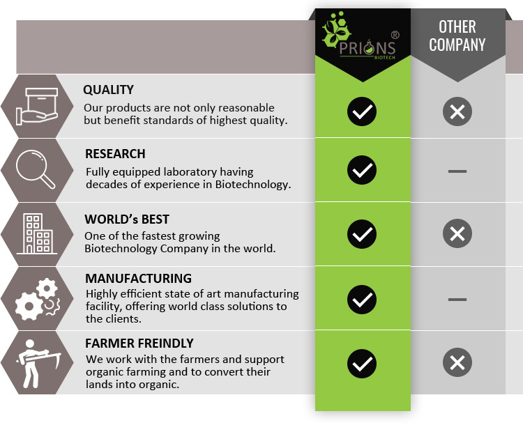 Algae in Pond Water Reduce Blue Green Algae Controller-PR Feed Additives Aquaculture Probiotics for Sale