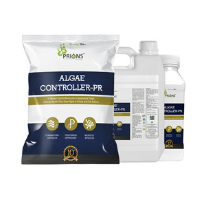 Algae in Pond Water Reduce Blue Green Algae Controller-PR Feed Additives Aquaculture Probiotics for Sale