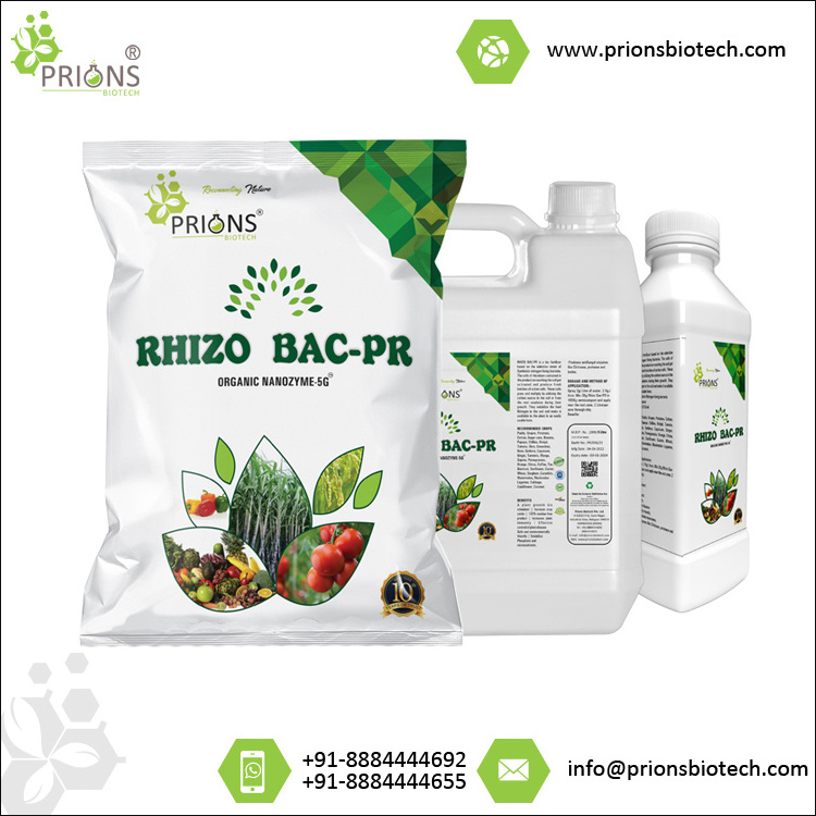 100% Natural Nutrient Enhancer Organic RHIZO BAC-PR Agriculture Bio Fertilizer for Improves Plant Immunity and Crop Yields