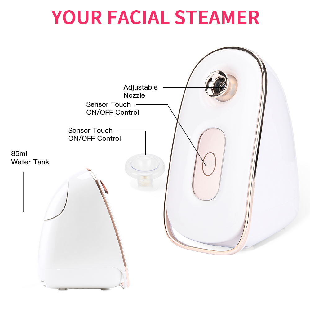 PRITECH PTC Heater Professional Skin Care Beauty Electric Facial Steamer With Ozone