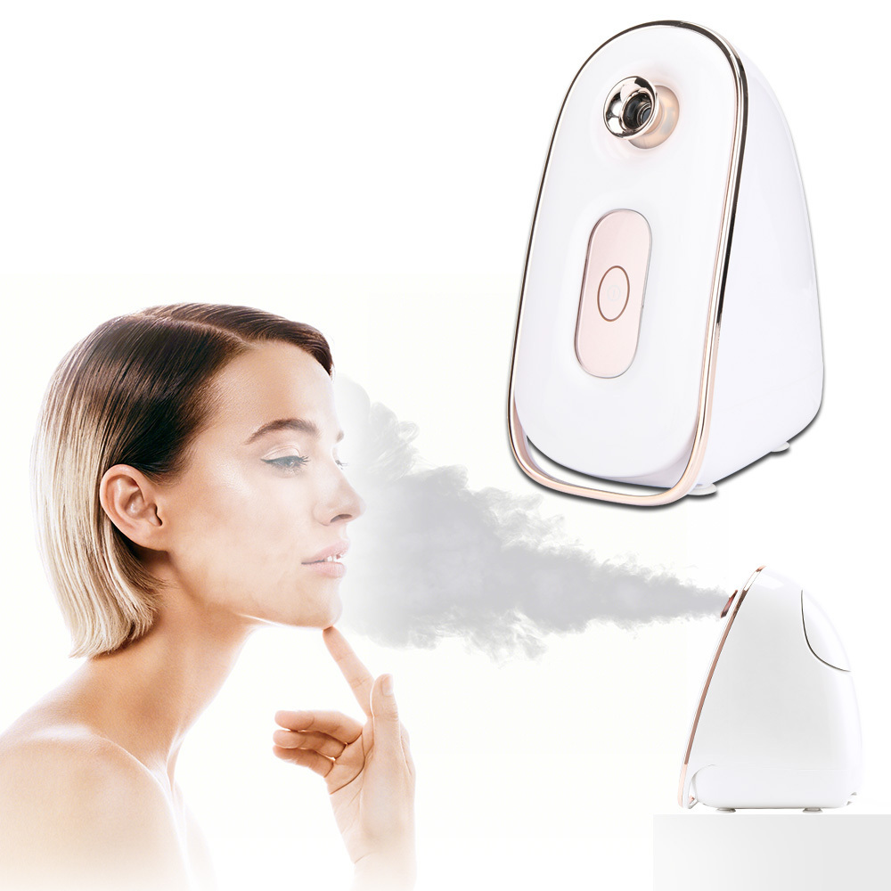 PRITECH PTC Heater Professional Skin Care Beauty Electric Facial Steamer With Ozone