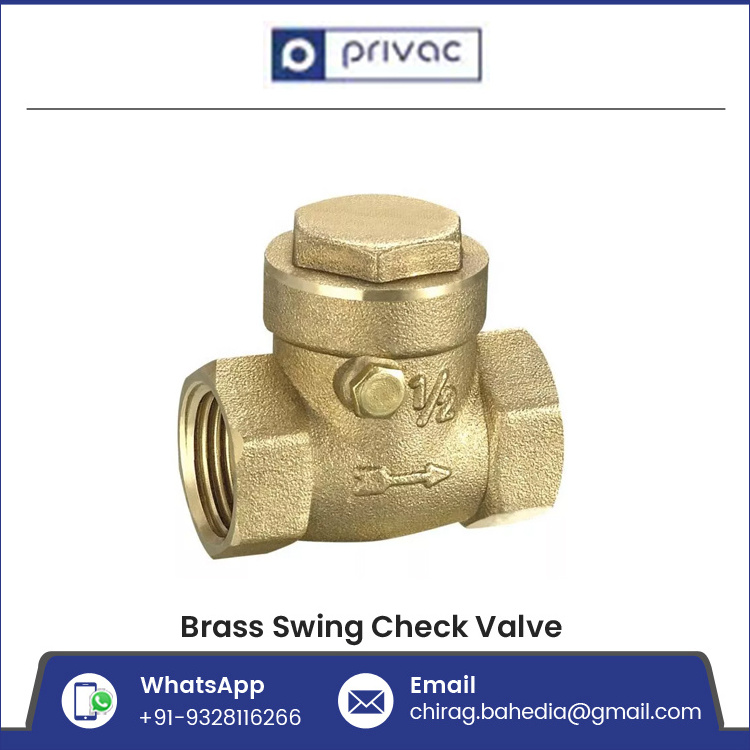 BSP NPT Brass Swing Check Valve 1/2