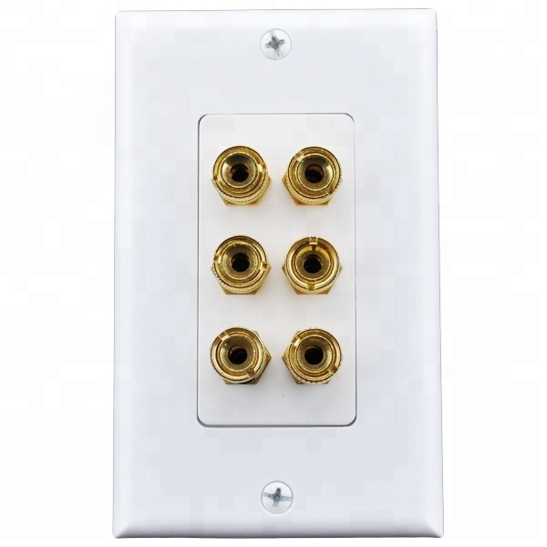 2 Gang 5.1ch Surround Sound Home Theater Distribution Wall Plate NEW