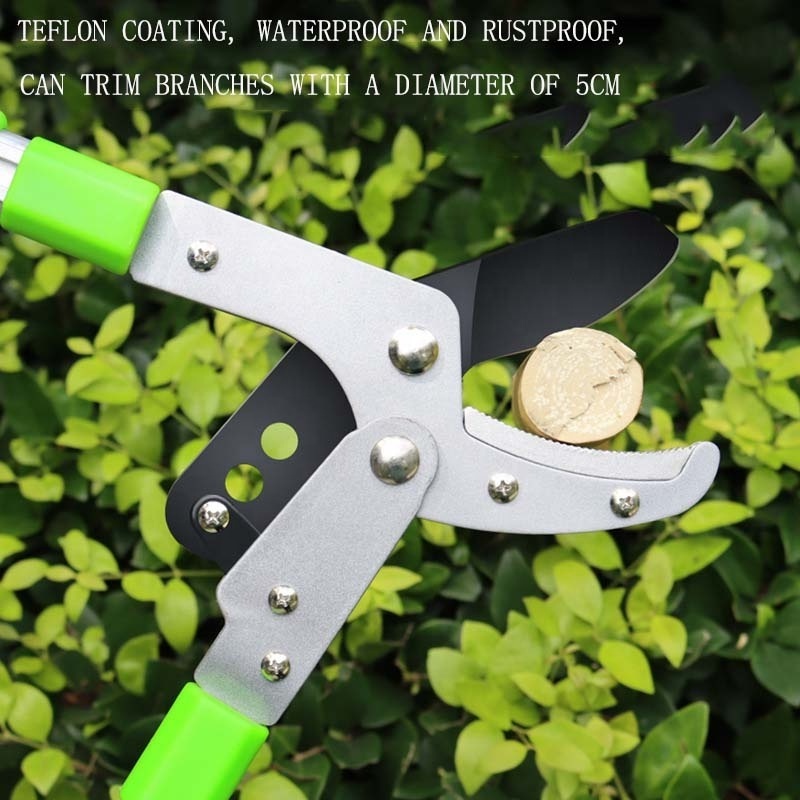 Professional unique shrub apple grape branch long handle manual plant cutter for home pruning shears