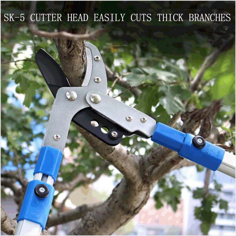 Professional unique shrub apple grape branch long handle manual plant cutter for home pruning shears