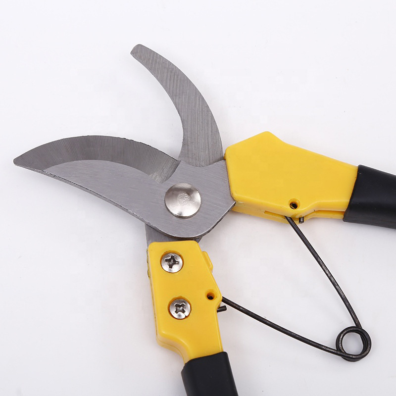 Professional stainless steel rubber handle fruit grape manual tree sharp bypass pruning shears