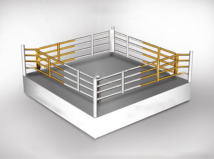 New Style Multifunctional Table Type Kick Boxing Ring Price