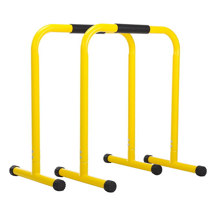 DP8222 Gym Equipment Wholesale Exercise Parallel Bars Dip Station Bar Dip for Home Use