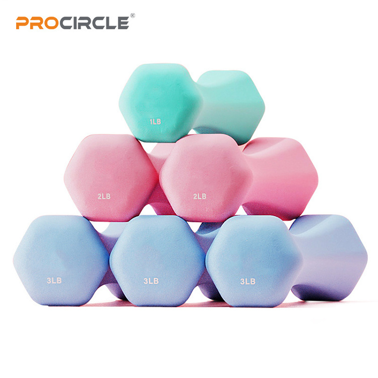 ProCircle Hot sale Cast Iron Dumbbell Set Women Use Vinyl PVC Neoprene Dipping Dumbbell