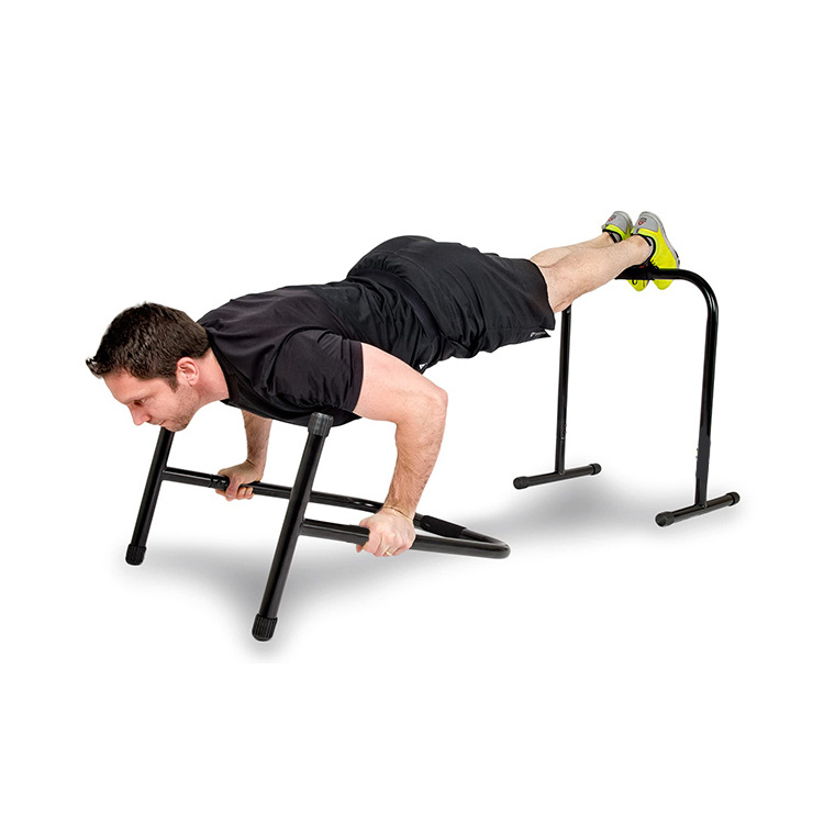 DP8222 Gym Equipment Wholesale Exercise Parallel Bars Dip Station Bar Dip for Home Use