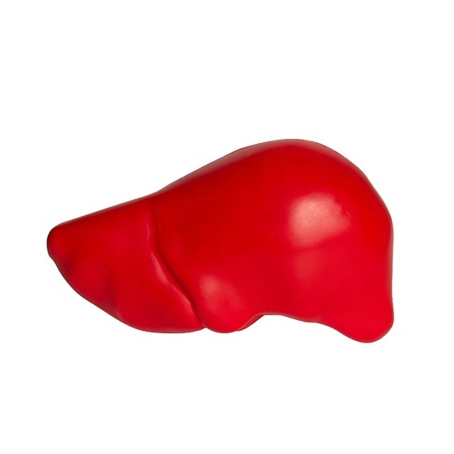 Anti Stress Toy in Liver shaped PU Liver shape promotion stress ball foam toys