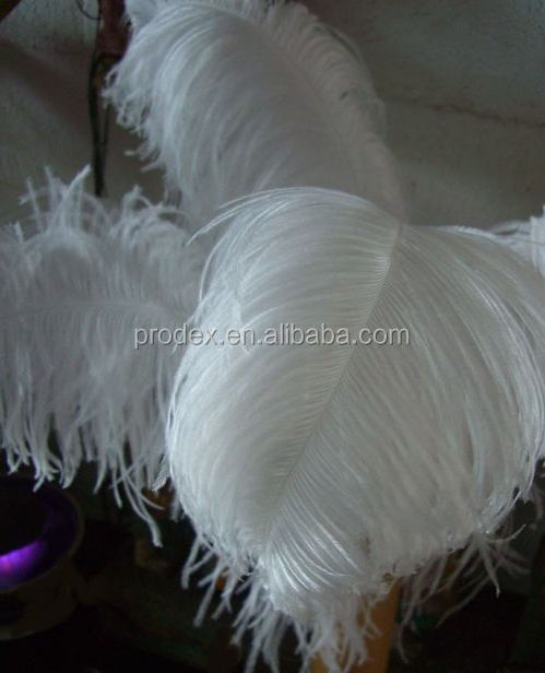 Wholesale white ostrich feather for Wedding decoration centerpieces