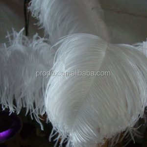 Wholesale white ostrich feather for Wedding decoration centerpieces