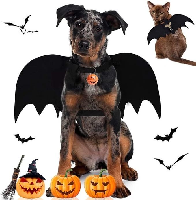 Factory Wholesale 2 Pack Halloween Pet Bat Wings for Puppy Dog and Cat Funny Halloween Accessory  Bat Vampire Costume