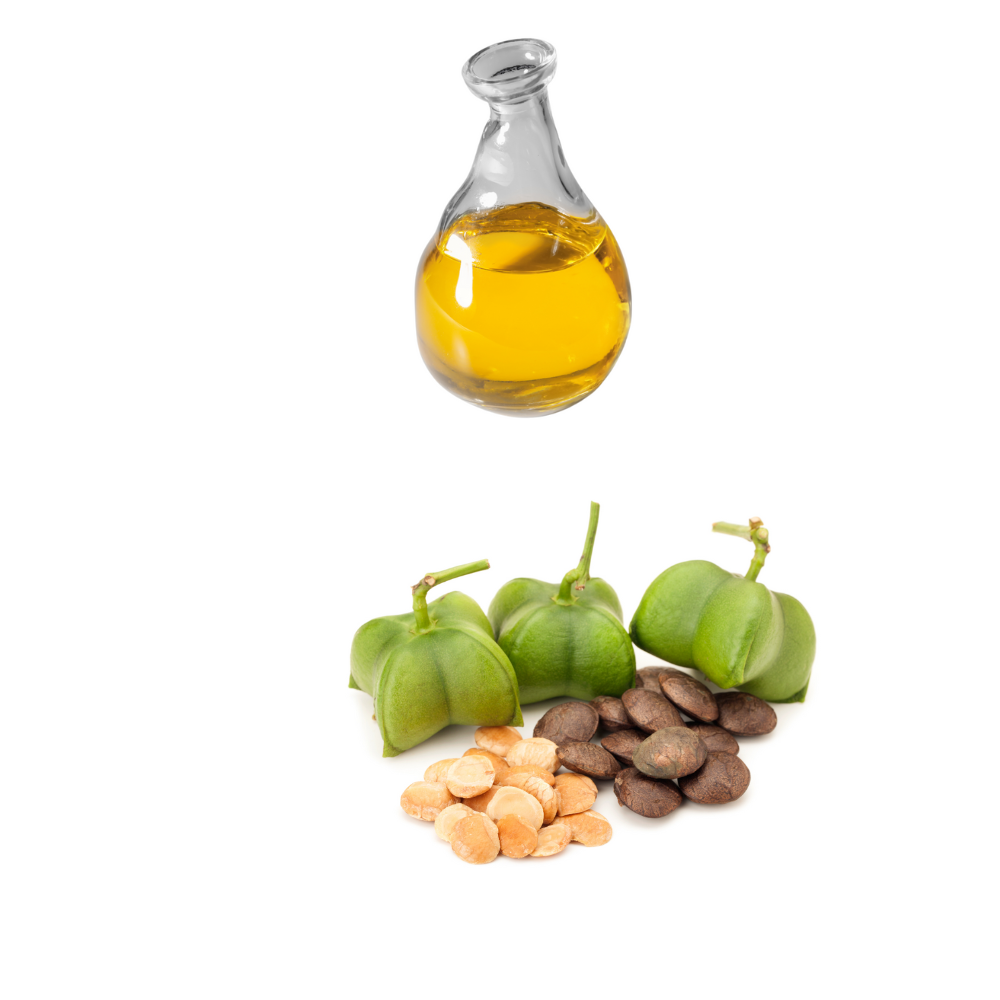 Healthy Natural Sacha Inchi Oil Cold Pressed Oil 100% Organic Processing Good For Health Vietnamese Manufacturer