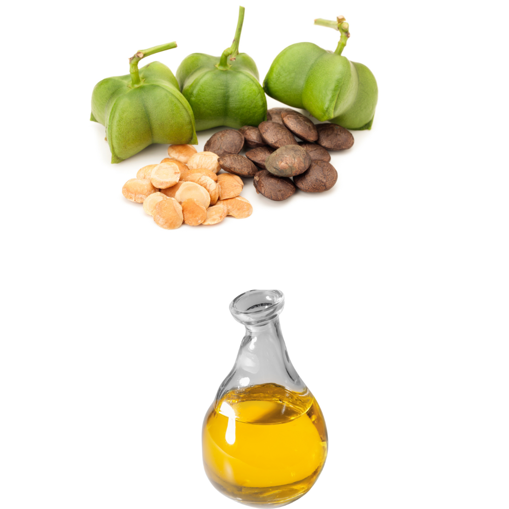 Wholesale Pure Organic Quality Extra Sacha Inchi Oil Cold Pressed Oil Processing Good For Health Vietnamese Manufacturer