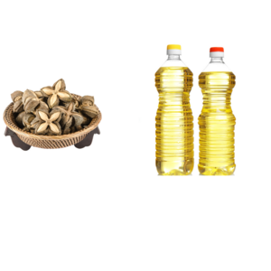 Healthy Natural Sacha Inchi Oil Cold Pressed Oil Processing Good For Health 100% Organic Vietnamese Manufacturer