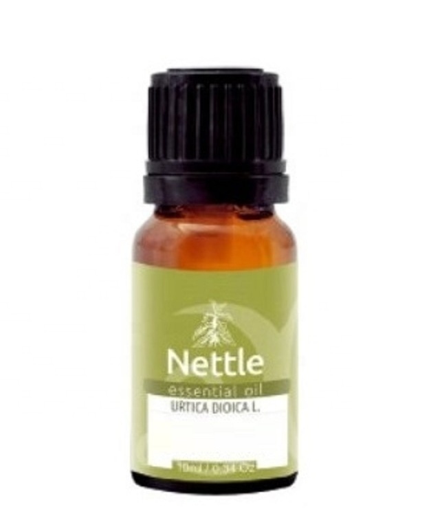 Pure Nettle Essential Oil 100% Natural Product | Private Label | Wholesale