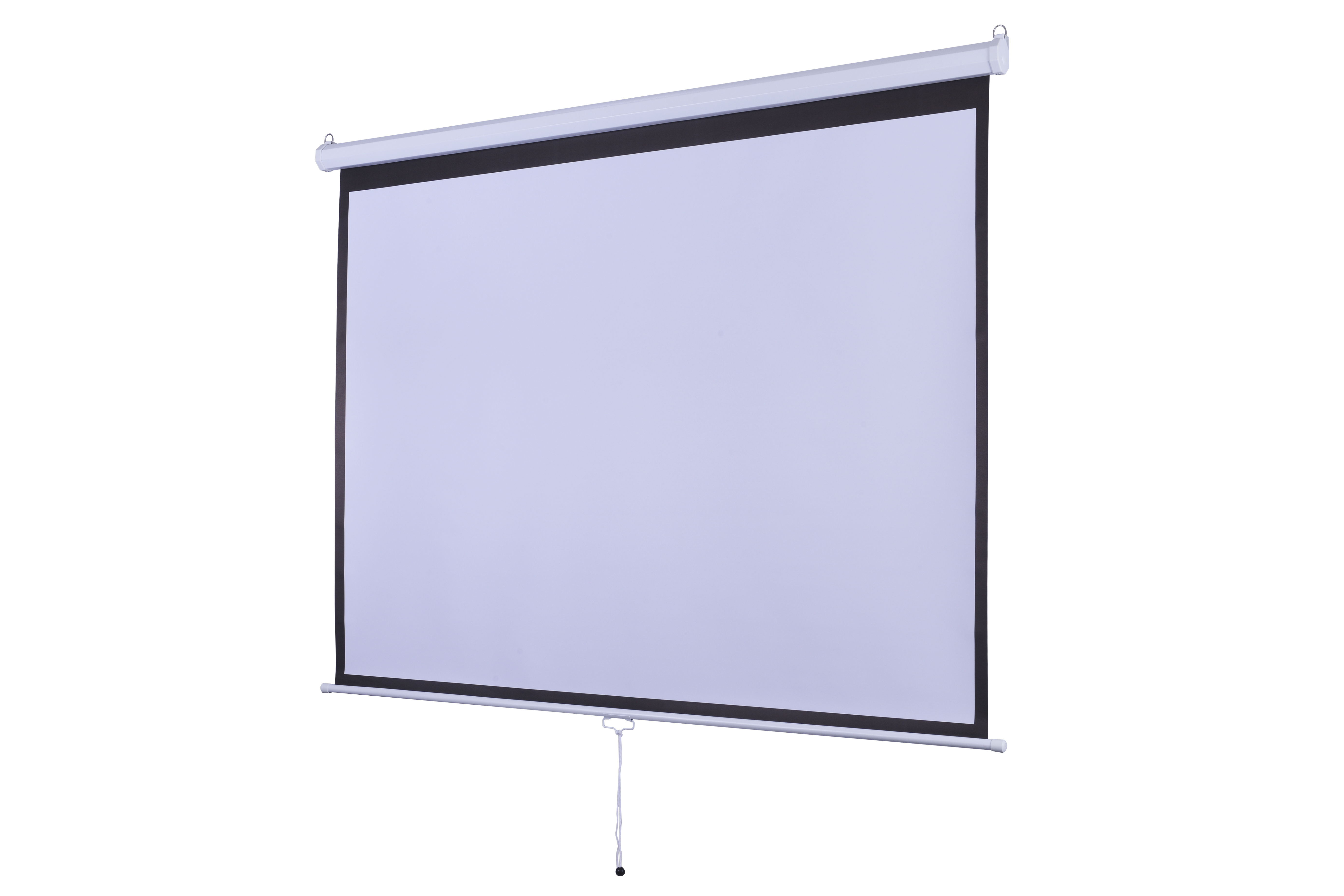 White Manual Pull Down Projection Screen 100