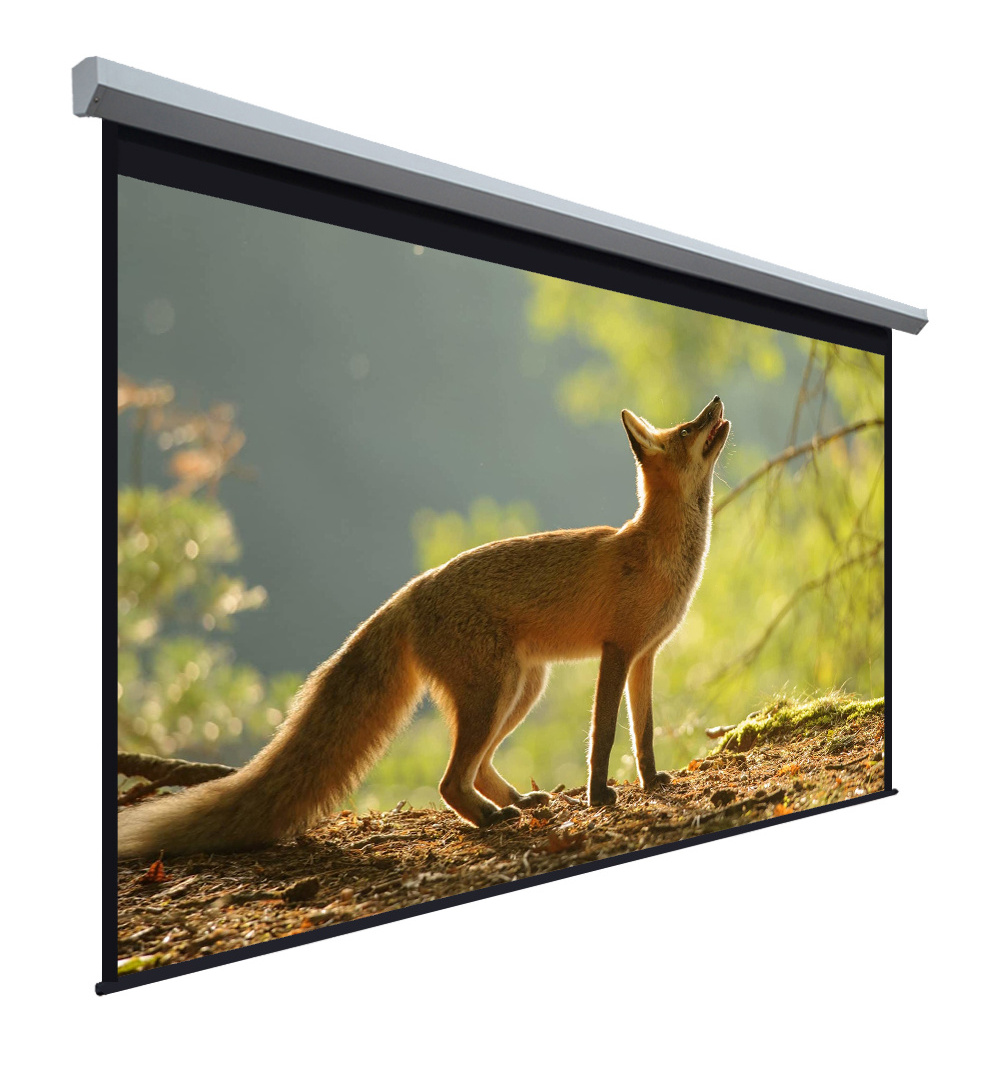 Large Motorized/electric Projection/projector Screen Electric High Tubular Motor Screen 250 16:9 Inch 