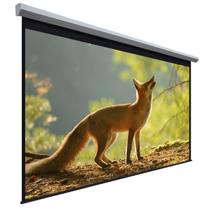 Large Motorized/electric Projection/projector Screen Electric High Tubular Motor Screen 250 16:9 Inch 