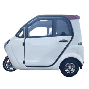 New design enclosed  three wheel mobility scooter , good quality electric tricycle for disable