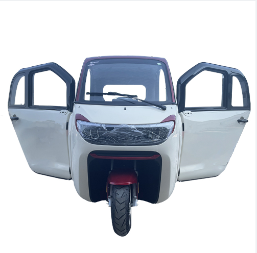 New design enclosed  three wheel mobility scooter , good quality electric tricycle for disable