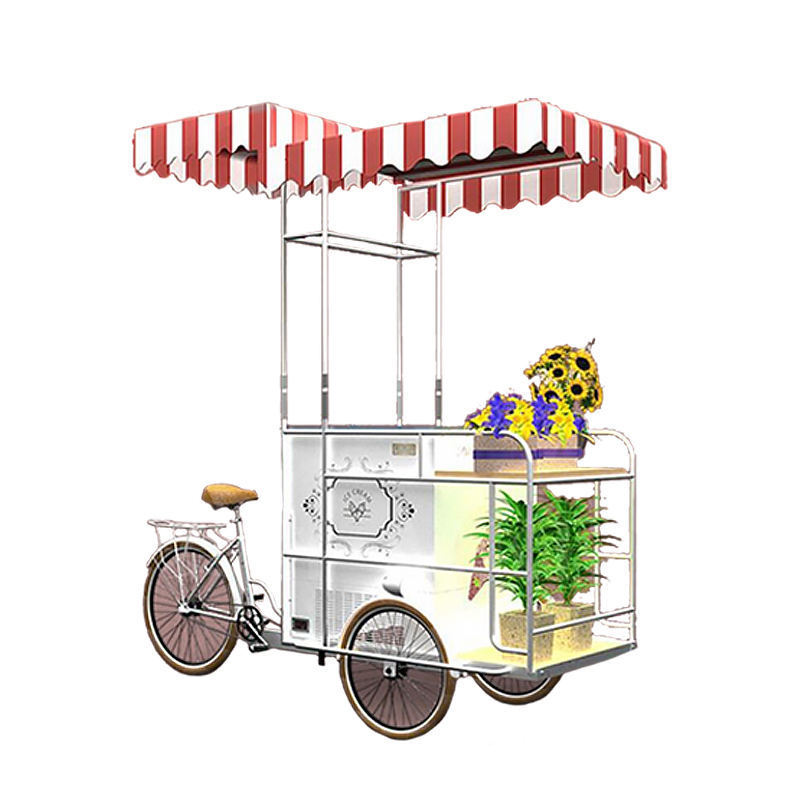 High Quality 3 Wheel Electric Bicycle Mobile Food Cart Larger Capacity Ice Cream Bike