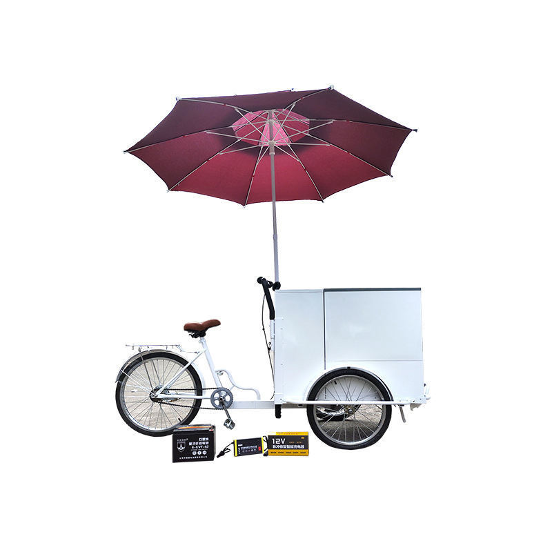 3 Wheel Electric Tricycle Ice Cream Bike Street Mobile Ice Cream Cart With Umbrella