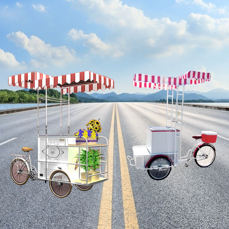 High Quality 3 Wheel Electric Bicycle Mobile Food Cart Larger Capacity Ice Cream Bike