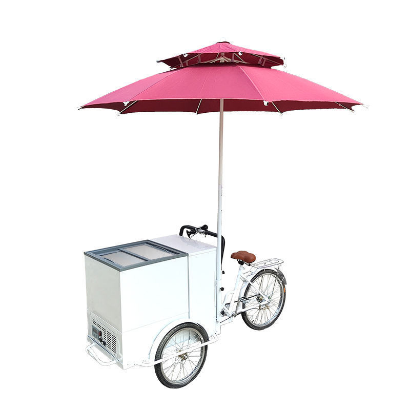 3 Wheel Electric Tricycle Ice Cream Bike Street Mobile Ice Cream Cart With Umbrella