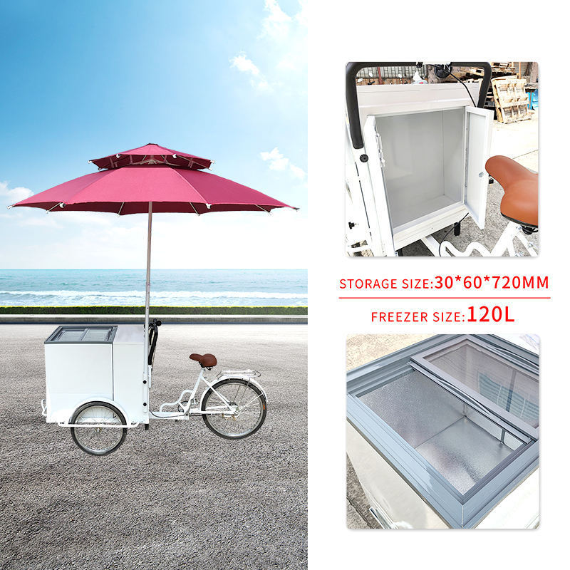 3 Wheel Electric Tricycle Ice Cream Bike Street Mobile Ice Cream Cart With Umbrella