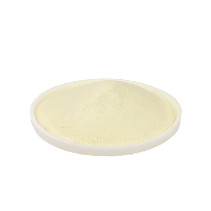 Protoga new arrival Natural Algae extract beta glucan Paramylon Powder