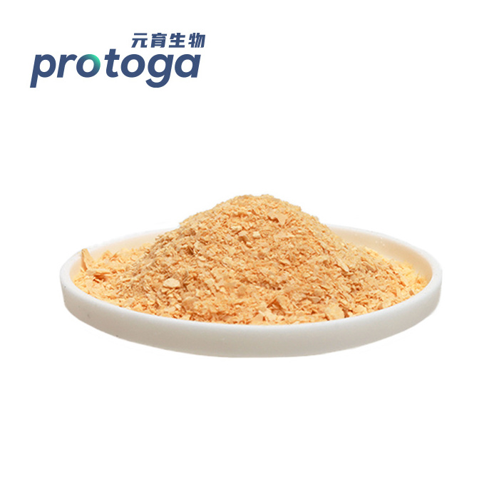 Natural Organic Schizochytrium Extract Docosahexaenoic Acid DHA Algae Oil Powder