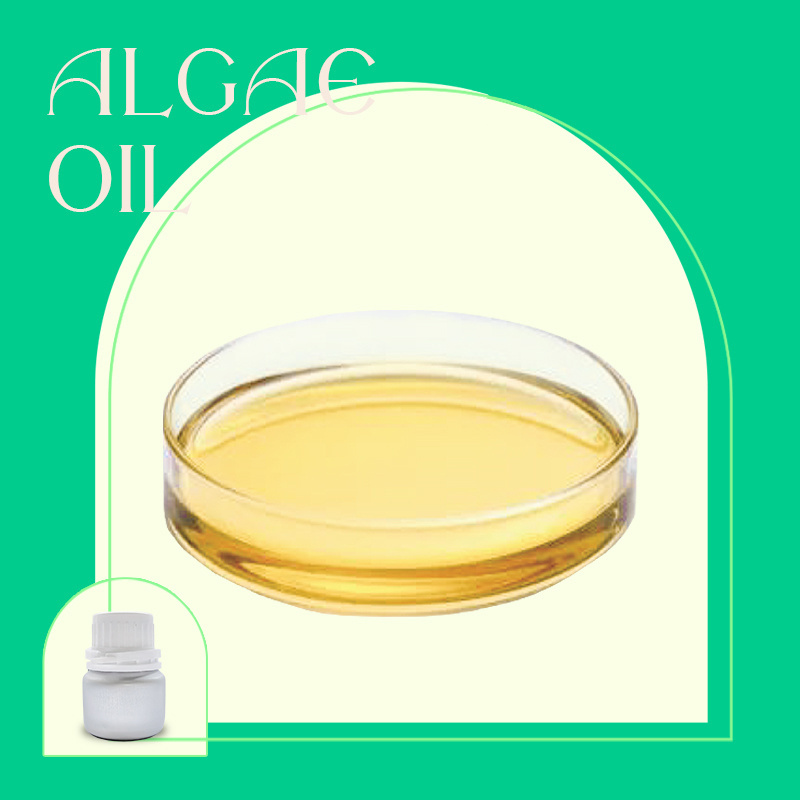 Wholesale Nutrition Ingredients DHA Algal Oil Manufacturer for Health food