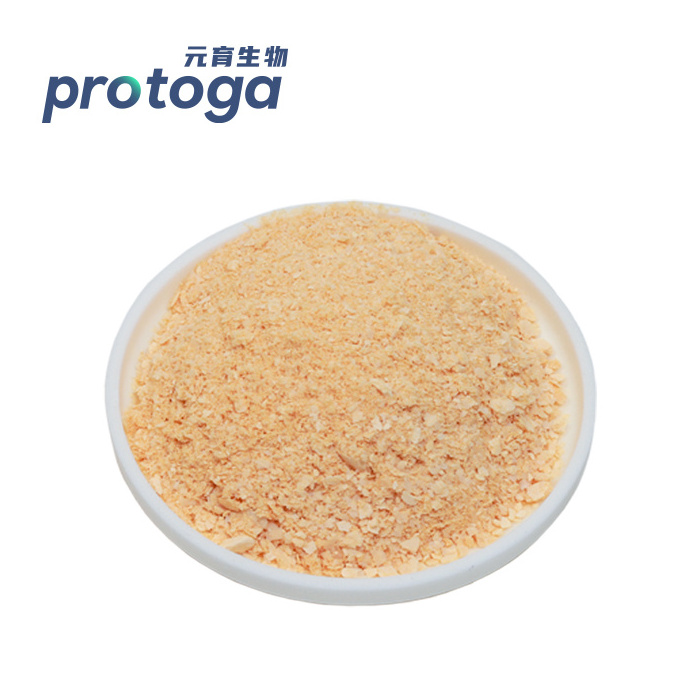 Natural  DHA Algal Oil Source Schizochytrium Powder Extracting Bulk Powder