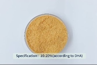 Natural  DHA Algal Oil Source Schizochytrium Powder Extracting Bulk Powder