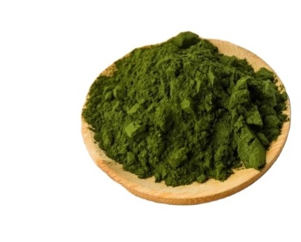 Food  Grade EPA Source Nannochloropsis Gaditana Powder Natural Algae Powder