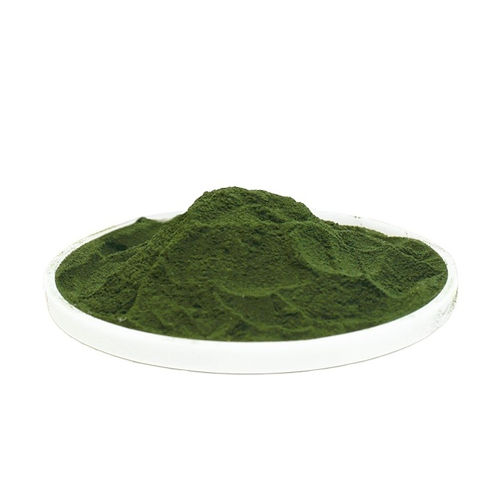 Food  Grade EPA Source Nannochloropsis Gaditana Powder Natural Algae Powder