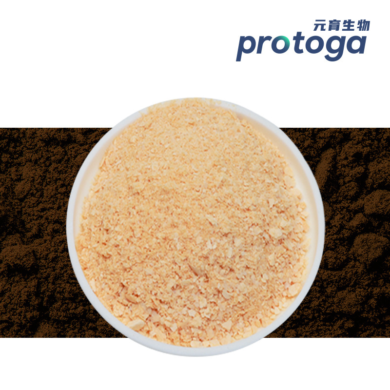 DHA Algal Oil Source Bulk  Schizochytrium Powder Extracting Powder for Aquatic Feed