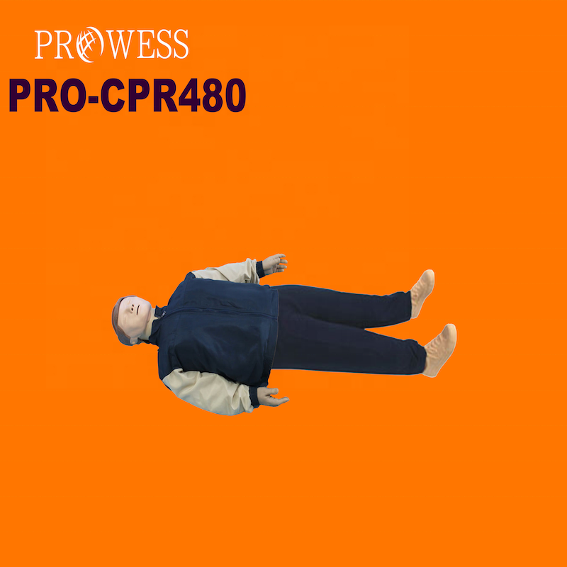 PRO-CPR480 Hot sales new customize AED Human Lifesaving Manikins Multifunction Full Body CPR Medical Mannequins Doll Medical Sci