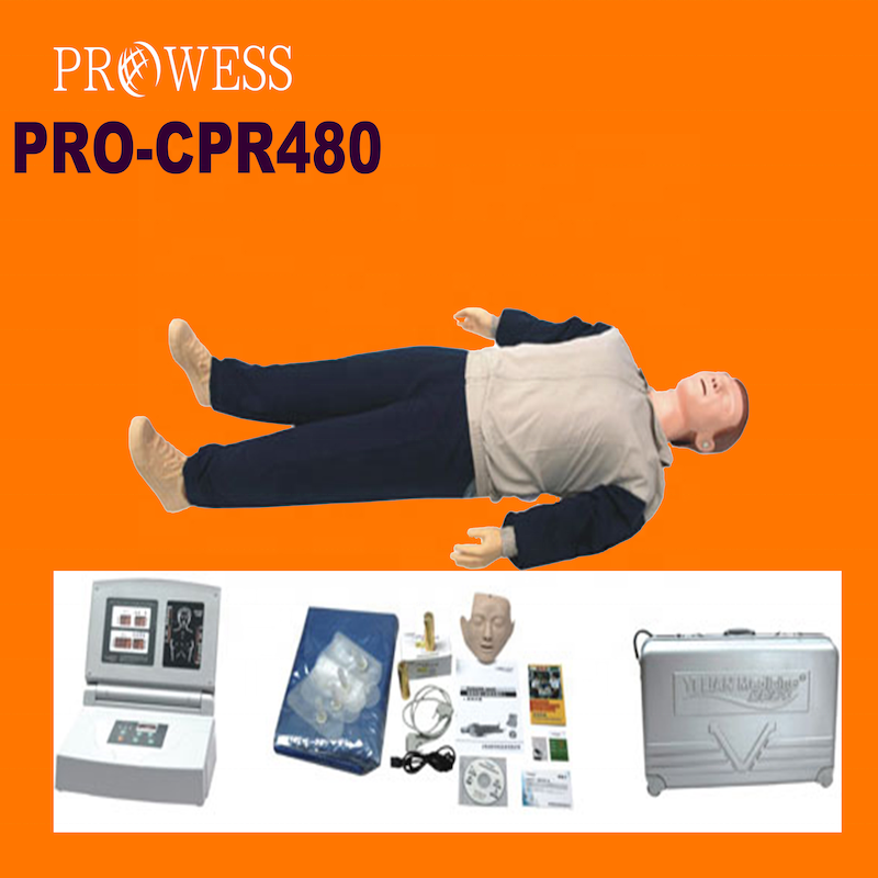 PRO-CPR480 Hot sales new customize AED Human Lifesaving Manikins Multifunction Full Body CPR Medical Mannequins Doll Medical Sci