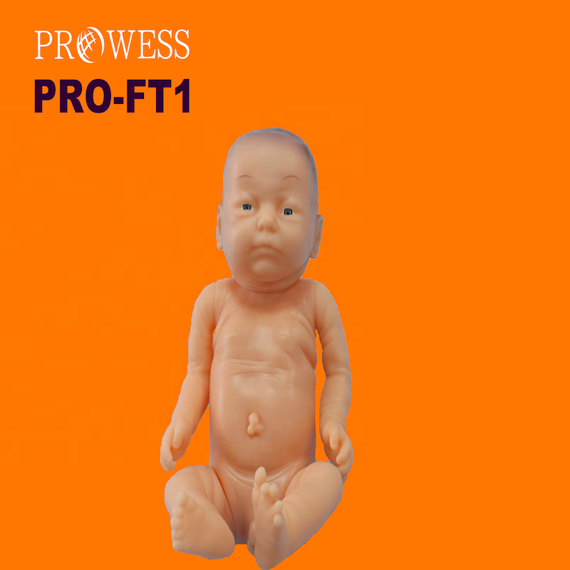 PRO-FT1 Hospital educational teaching science training anatomy human torso Care Full-term Boy Newborn Neonatal manikin model