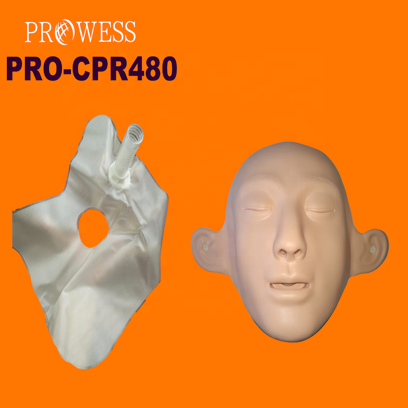 PRO-CPR480 Hot sales new customize AED Human Lifesaving Manikins Multifunction Full Body CPR Medical Mannequins Doll Medical Sci