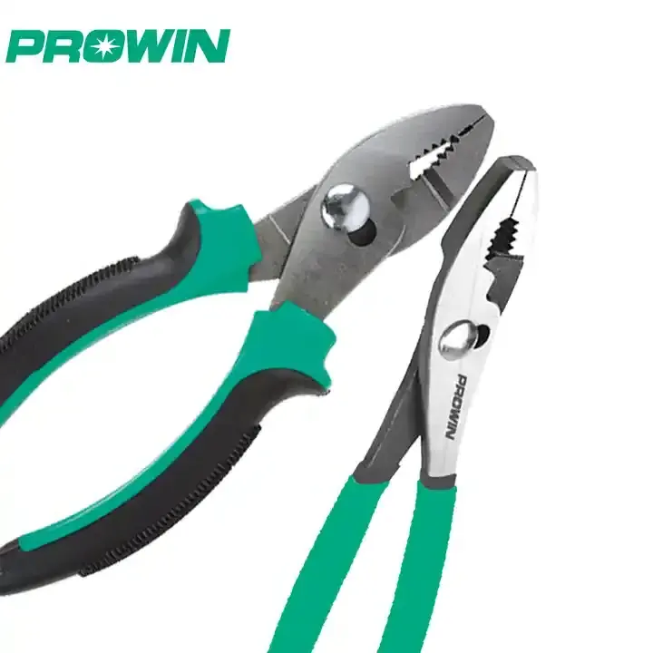 Prowin  Professional  8