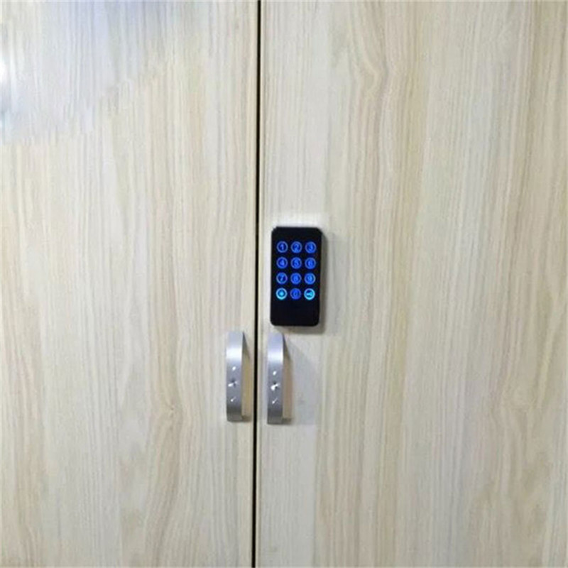 Keypad Card Combination Electronic Door Lock Digital Smart locker lock PY-EM118S