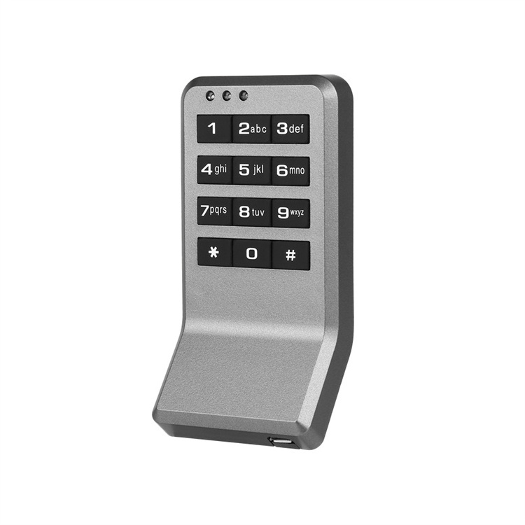 Smart rfid locker Electronic RFID Card Locker Lock Public mode one time use card password gym lock for Spa Locker