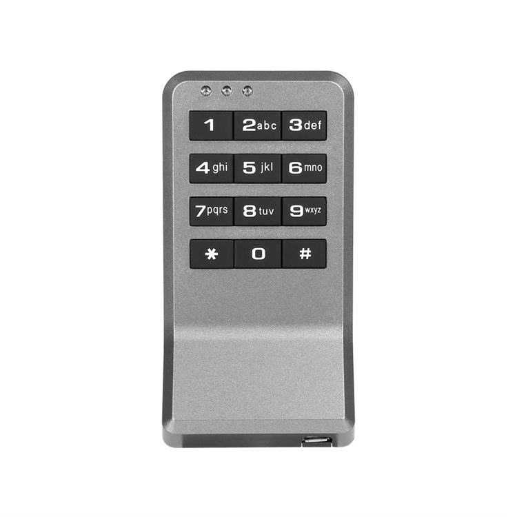 Smart rfid locker Electronic RFID Card Locker Lock Public mode one time use card password gym lock for Spa Locker