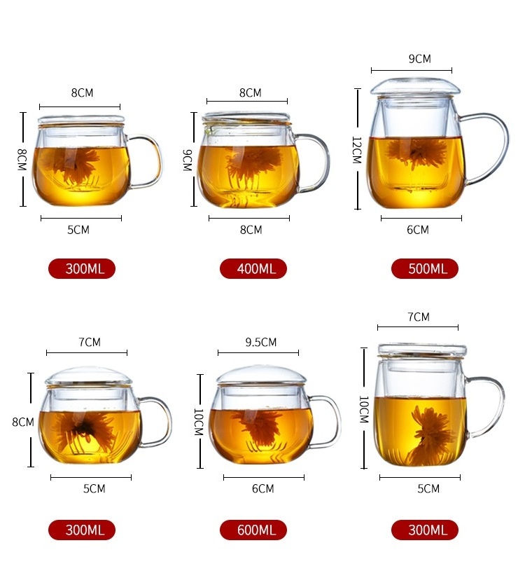 12OZ Glass Tea Infuser Mug Heat Resistant Borosilicate Glass Clear Tea Cup with Strainer for Loose Leaf Blooming Tea