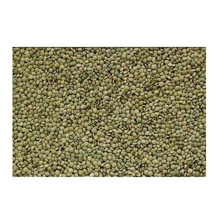 Green lentils at wholesale price Red Lentils, Green Lentils, Brown Lentils